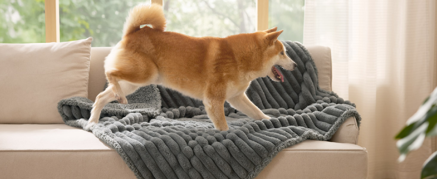 Водонепроникний коврик для собак BEDSURE 152x203 см - м'який, миючий, для великих собак, сірий