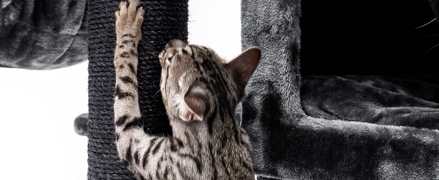 Дряпак для котів Petrebels Maine Coon, Estate, 170 см, XXL, чорний