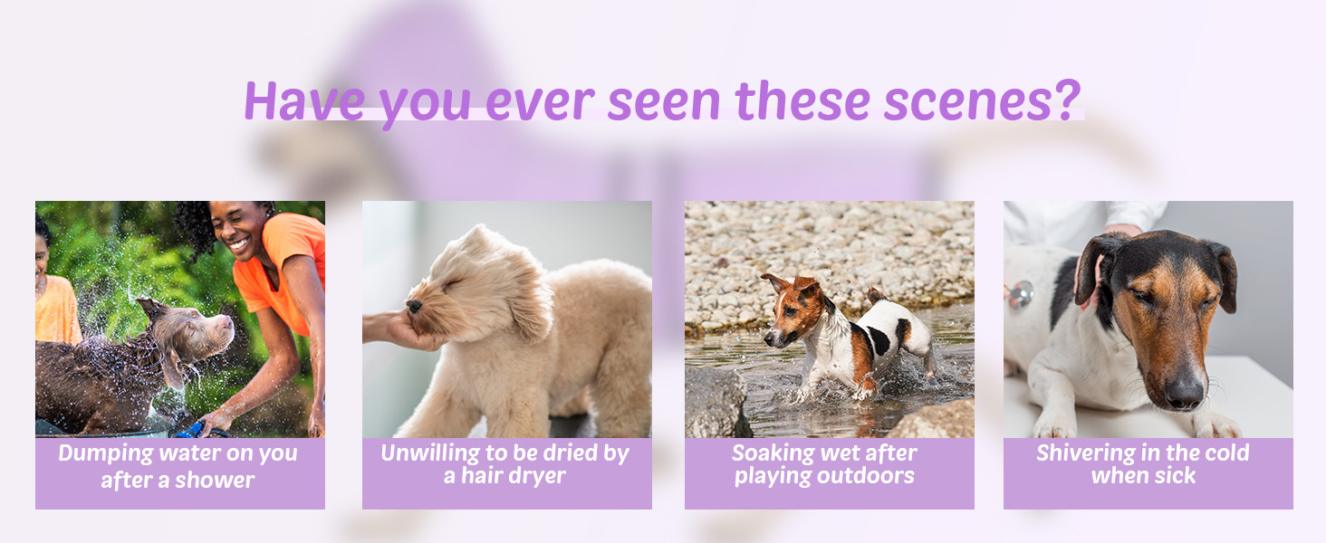 Рушник для собак з капюшоном, вбираючий, для сушіння після купання, для котів та собак усіх порід, L (блакитний) (фіолетовий L)