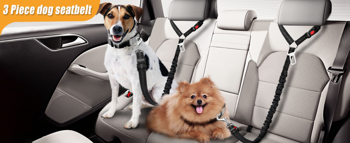 Нашийник для собак у багажник авто, фіксатор для транспортування, з амортизатором та карабіном, чорний, для всіх порід