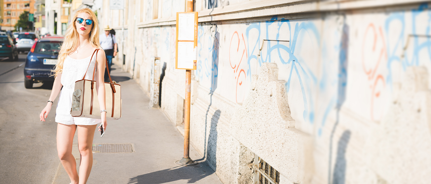 Сумка-переноска для собак Lasaviin: стильна, з натуральної шкіри, для маленьких собак, котів, цуценят, дозволена авіаперевезеннями