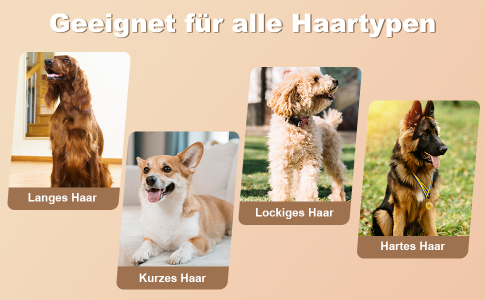 TECHMUR PawTrim Pro: Професійний триммер для собак та котів з LED та цифровим дисплеєм