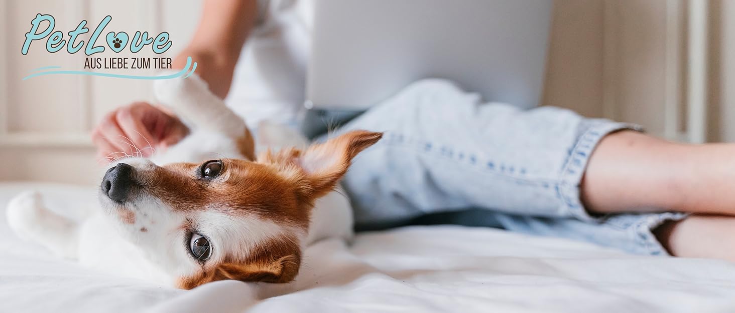 Намисто з бурштину для собак PetLove • 100% балтійський бурштин • Обов'язкове для собак та котів • Довжина: 50-55 см