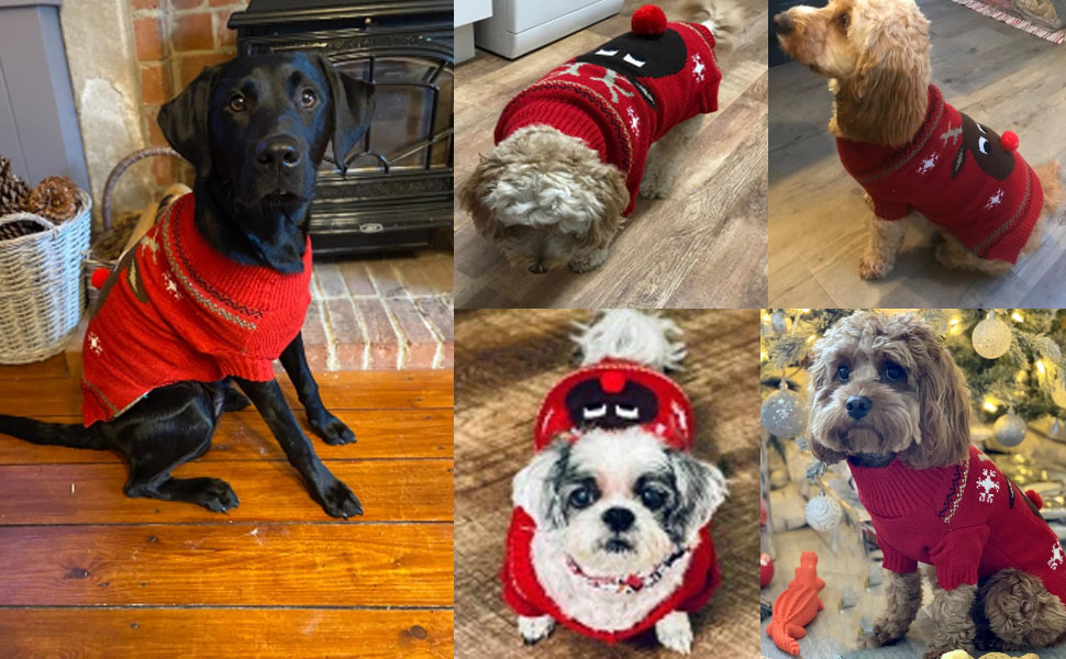 Пуловер для собак ABRRLO з бавовни, теплий зимовий костюм для святкування Нового року, розмір XXL, KitzD