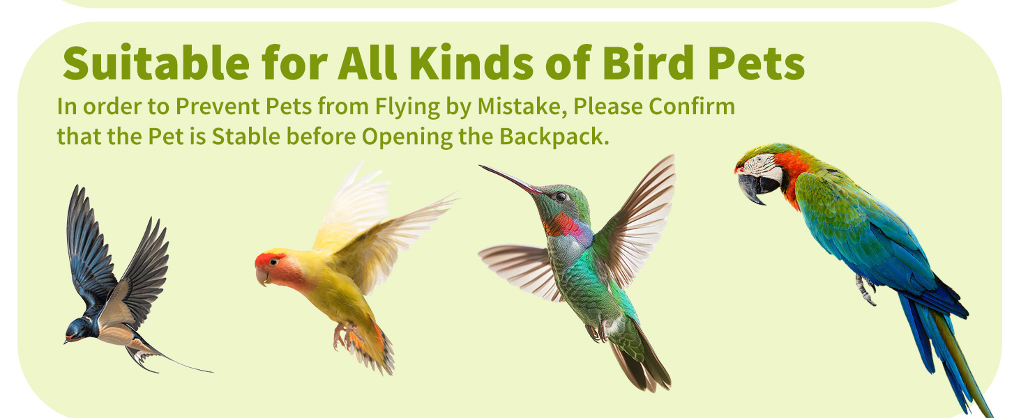 Рюкзак для птахів PETCUTE з дерев'яною жердкою: переноска, транспортна сумка для папуг, сіра