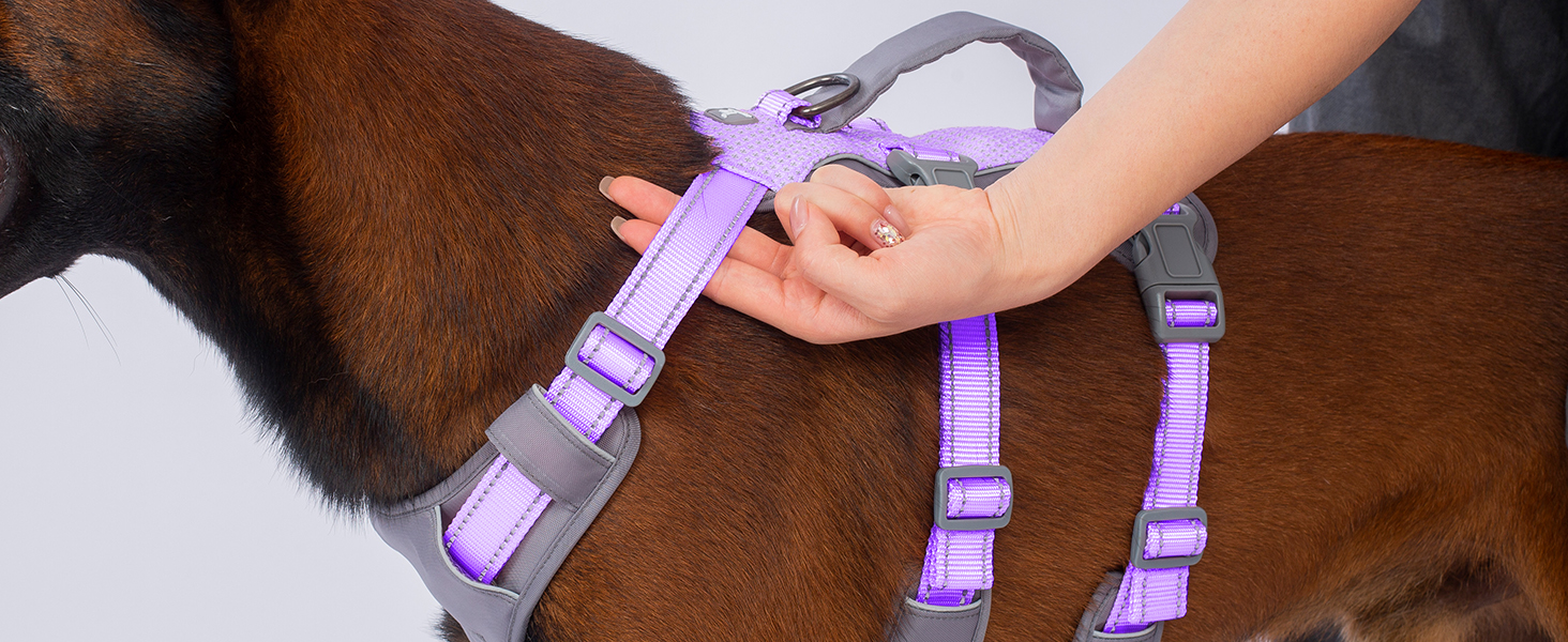 Шлейка Huntboo для собак - антистресова, з ручкою, для малеких, середніх та великих порід (S, M), лавандова