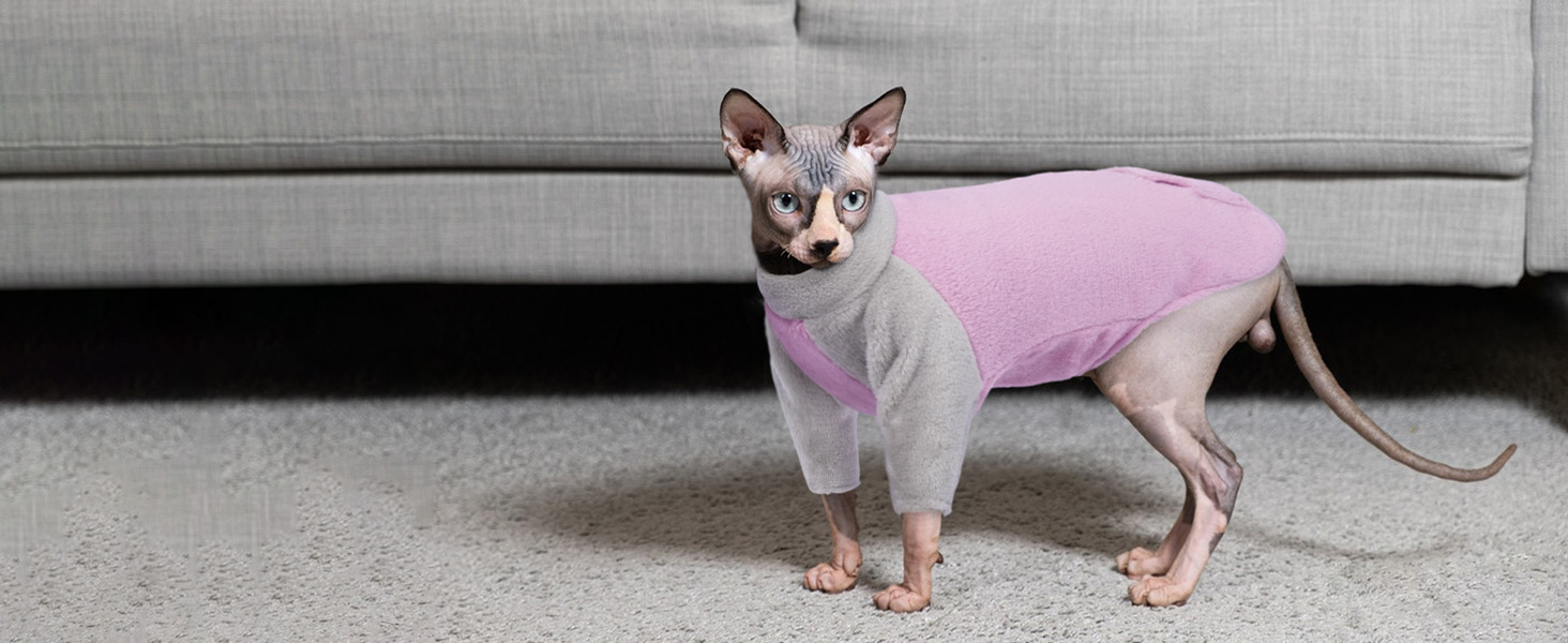 Теплий зимовий пуловер для котів Sphynx, фіолетовий, Roa (M)