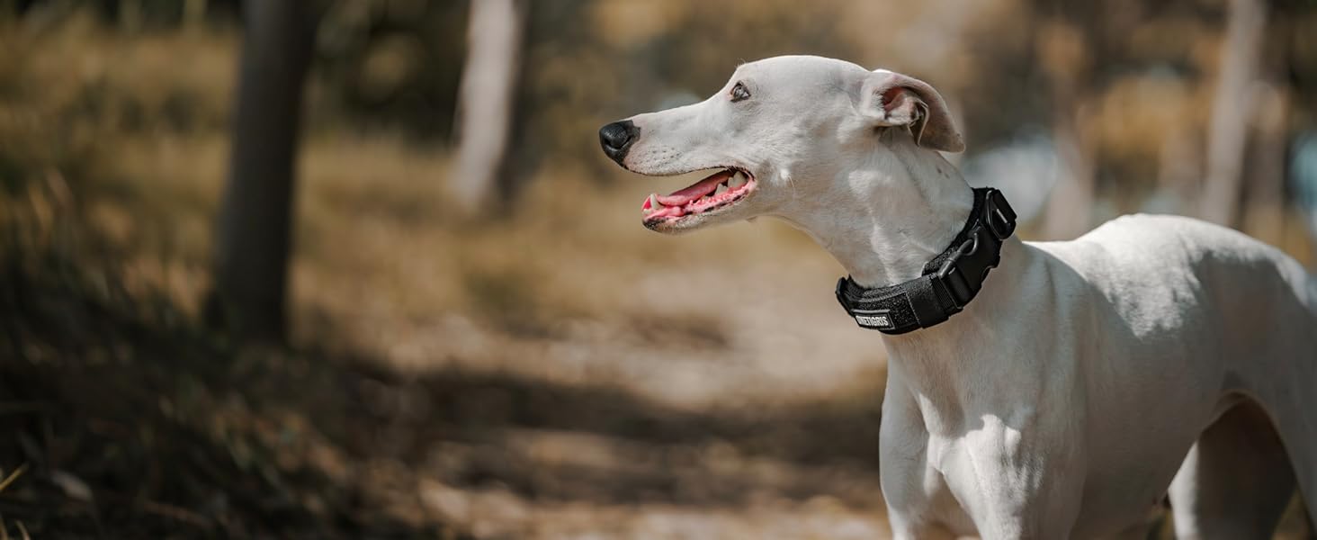 Нашийник для собак OneTigris, тактичний, з ручкою, чорний, S (30-40 см)