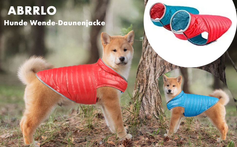 Зимова куртка для собак - тепла, водонепроникна жилетка з наповнювачем, світловідбиваюча, для осені/зими (XL, червоний + синій)