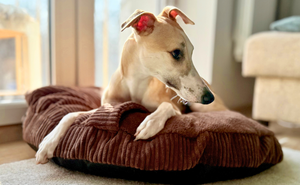 Ліжко для собак 4L Textil Vigo з капюшоном, печеринка для собак, ковдра, корзина для собак, спальний мішок для собак, корзинка для собак, матеріал: Cord, середні породи собак, з ковдрою (Темно-коричневий, L 90 x B 90 x H 12 см)