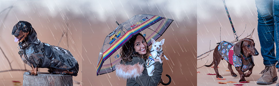 Дощовик для собак Cerdá Captain Aerica - офіційна ліцензія Arvel, XS | Водонепроникний дощовик для собак