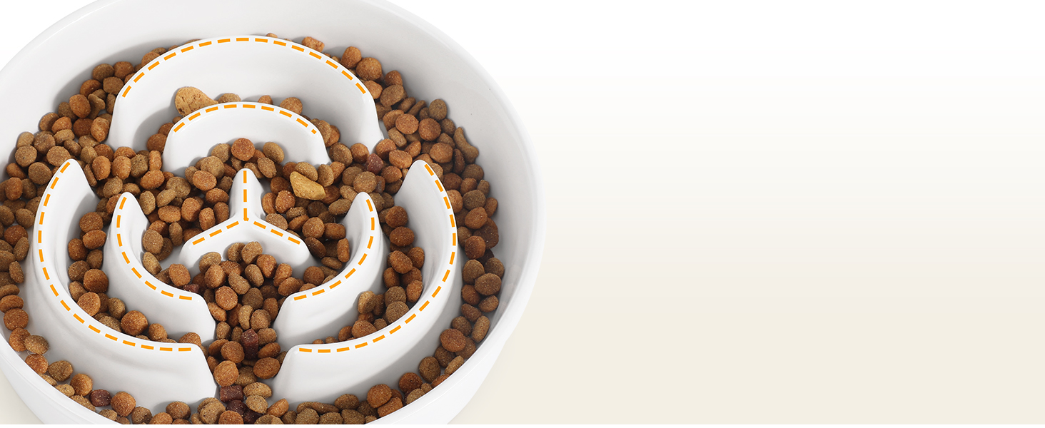 PETTOM Миска для собак протиковтання, кераміка, Ø 21 см, для великих та малих собак, Slow Feeder, білий