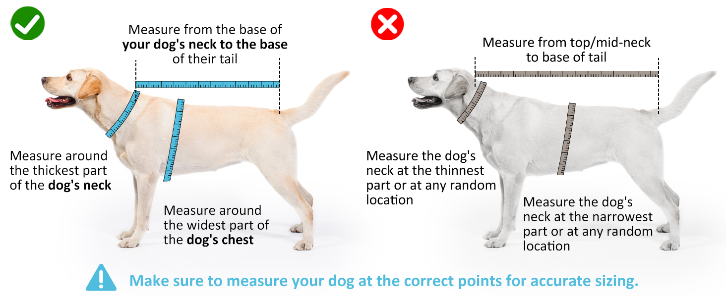 Рушник для собак з мікрофібри, швидковисихаючий, регульований, надзвичайно поглинаючий для середніх та великих собак, легко одягається (Сіро-зелений, Сіро-блакитний, S)