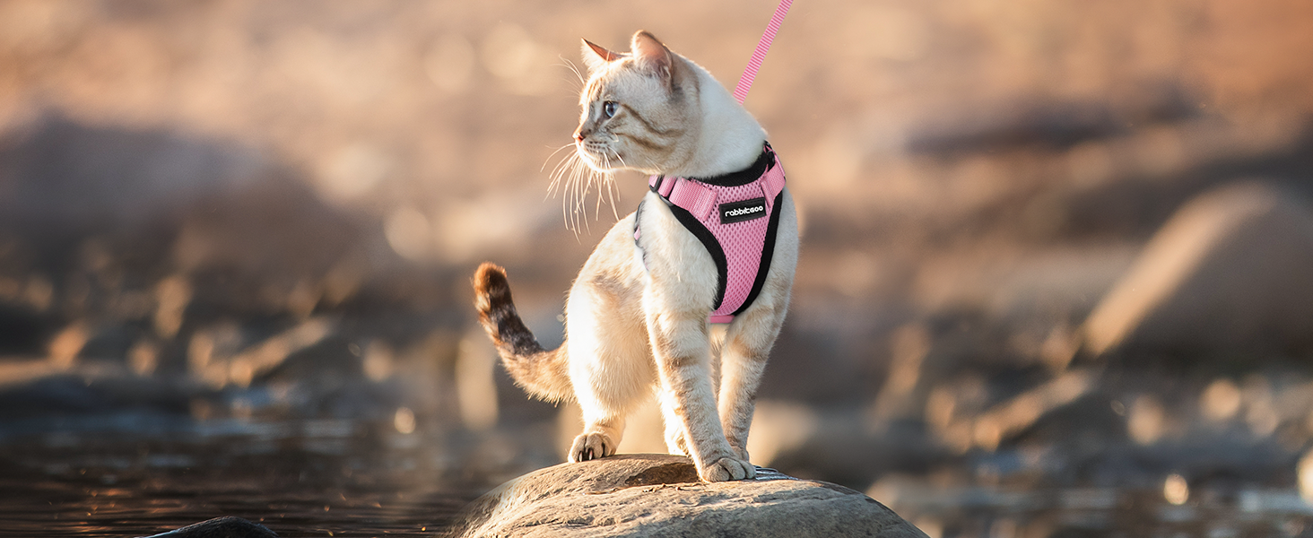 Шлейка для кота Rabbitgoo з повідком, м'яка шлейка для кота, шлейка-жилет для кота, безпечна та регульована, рожева, XS (1 шт.)