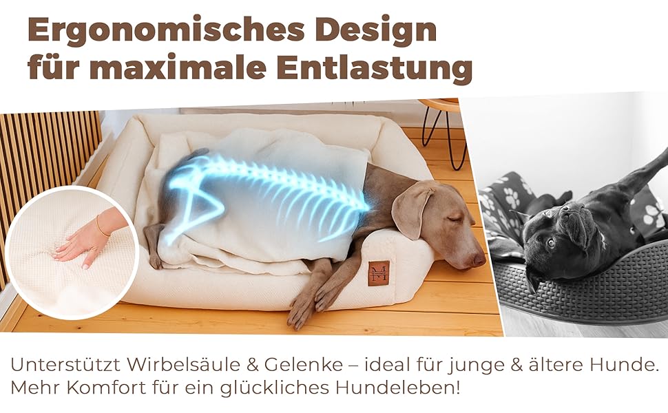 М'яке ліжко для собак Manno з піною з пам'яті ефекту – для середніх та великих собак | Зручне, знімний чохол, неслизьке та водовідштовхувальне | Безкоштовний ковдра та 2 подушки (XL)