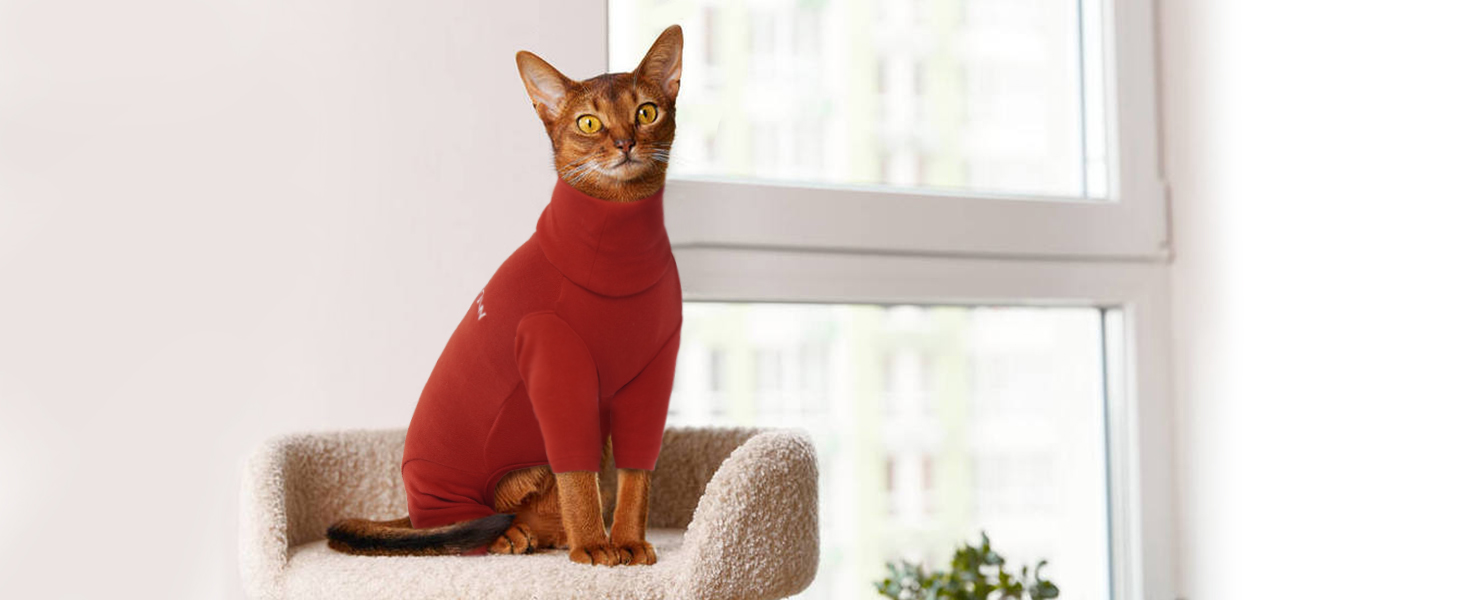 Пуловер для кота без шерсті (Сфінкс, Корніш Рекс, Девон Рекс, Петербал) | Одяг для котів після операції