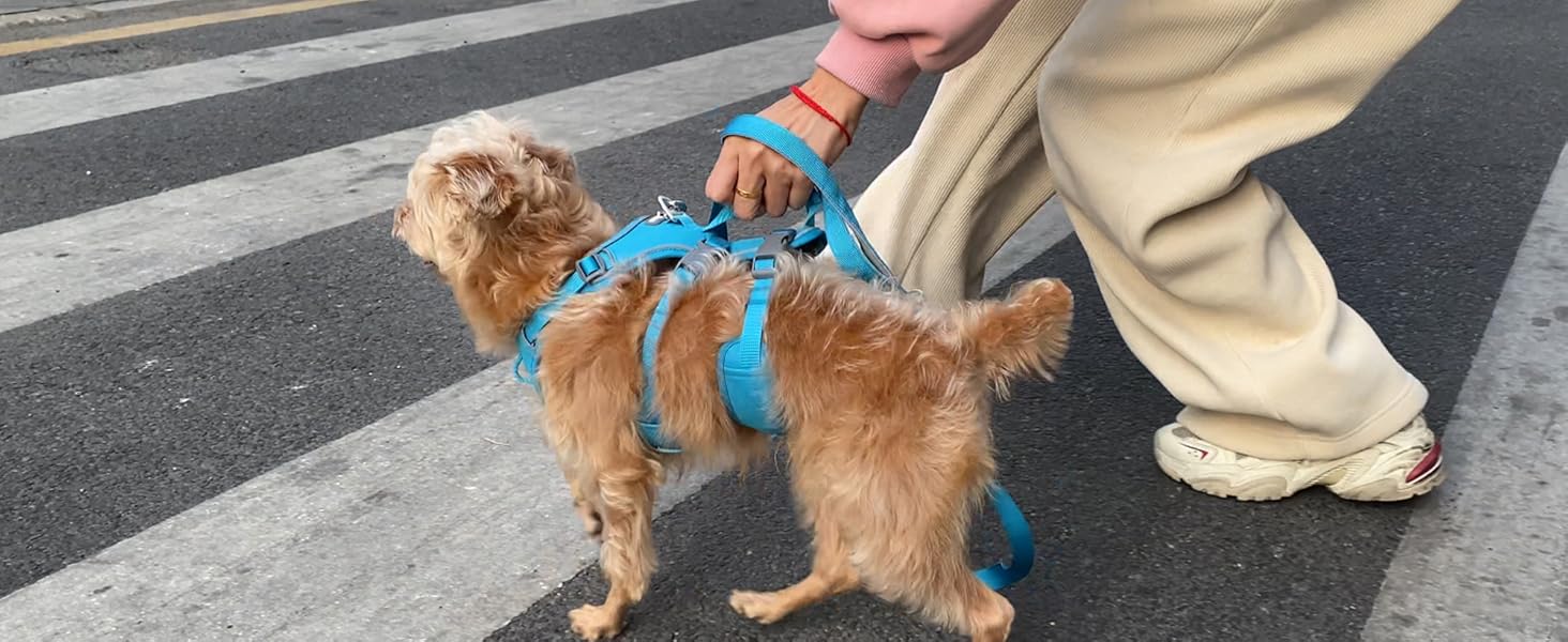 Нашийник для собак Wuffley з повідком, безпечний, анти-ривок, з ручкою та світловідбиваючими елементами, для середніх собак (Блакитний, M)
