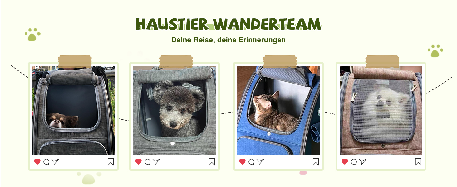 Рюкзак для котів та собак ALLSOPETS, складний, дихаючий, з сонцезахистом, для маленьких котів та собак. Ідеально для подорожей, кемпінгу та походів (Колір: Ягідний рожевий)