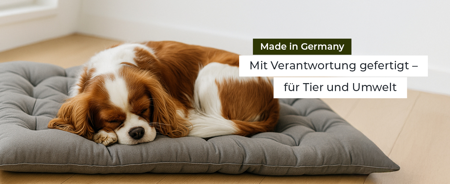 Ортопедичне собаче ліжко Doctor Bark Urban - для середніх собак, 70x50 см, сірий колір, Made in Germany. Можна прати до 95°C, міцне, для дому та вулиці.