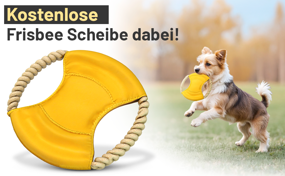 Автокрісло для собак VANEJA: безпечне та зручне автокрісло для маленьких собак, чорного кольору, з водонепроникним кошиком та фіксаторами, TÜV-сертифіковане