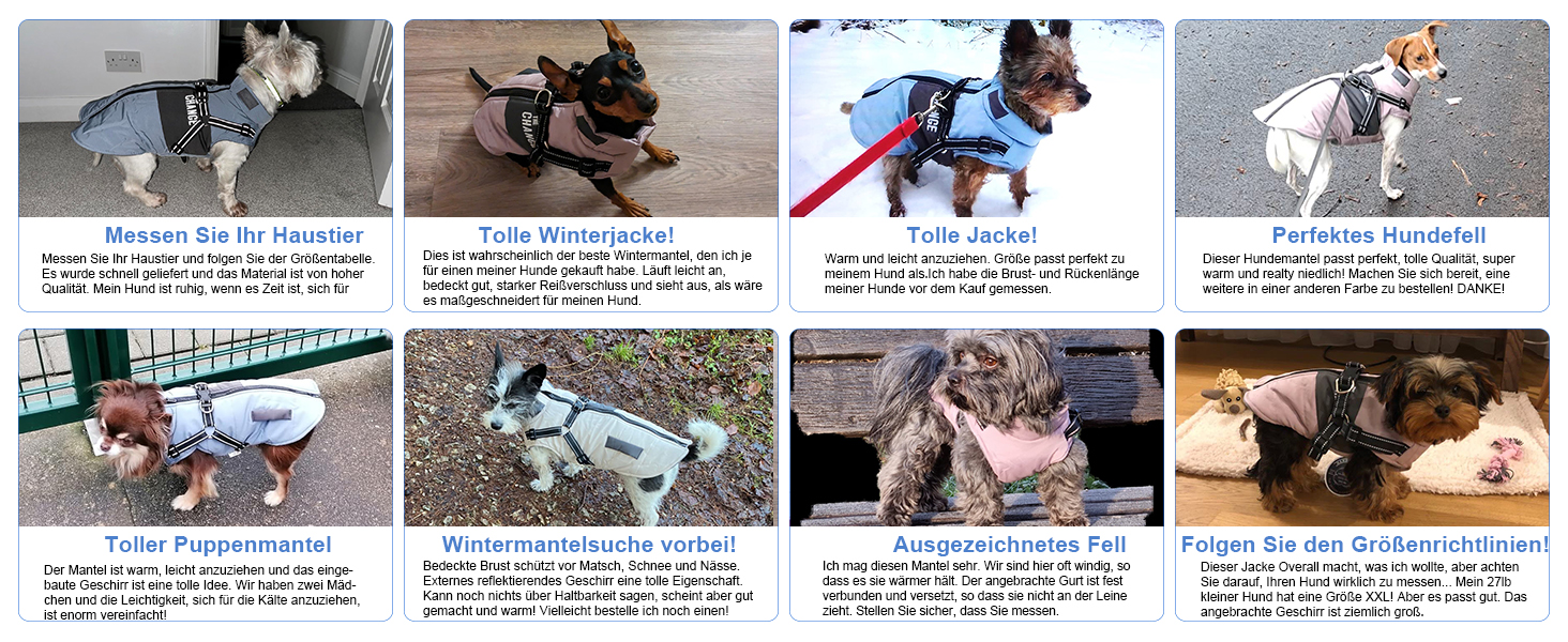 Теплий зимовий одяг для собак: куртка, жилет, плащ для маленьких та середніх порід, рожевий