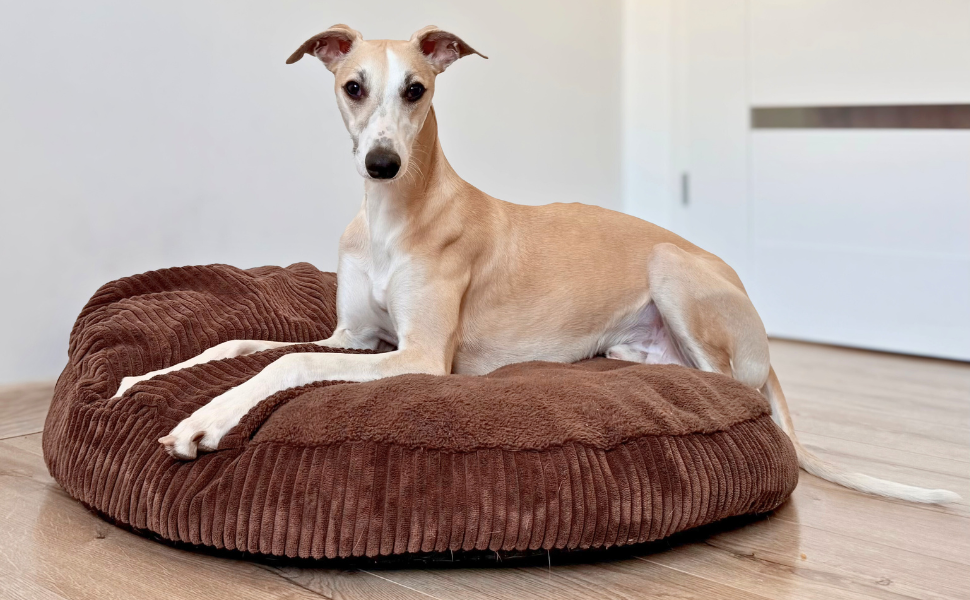 Ліжко для собак 4L Textil Vigo з капюшоном, печеринка для собак, ковдра, корзина для собак, спальний мішок для собак, корзинка для собак, матеріал: Cord, середні породи собак, з ковдрою (Темно-коричневий, L 90 x B 90 x H 12 см)