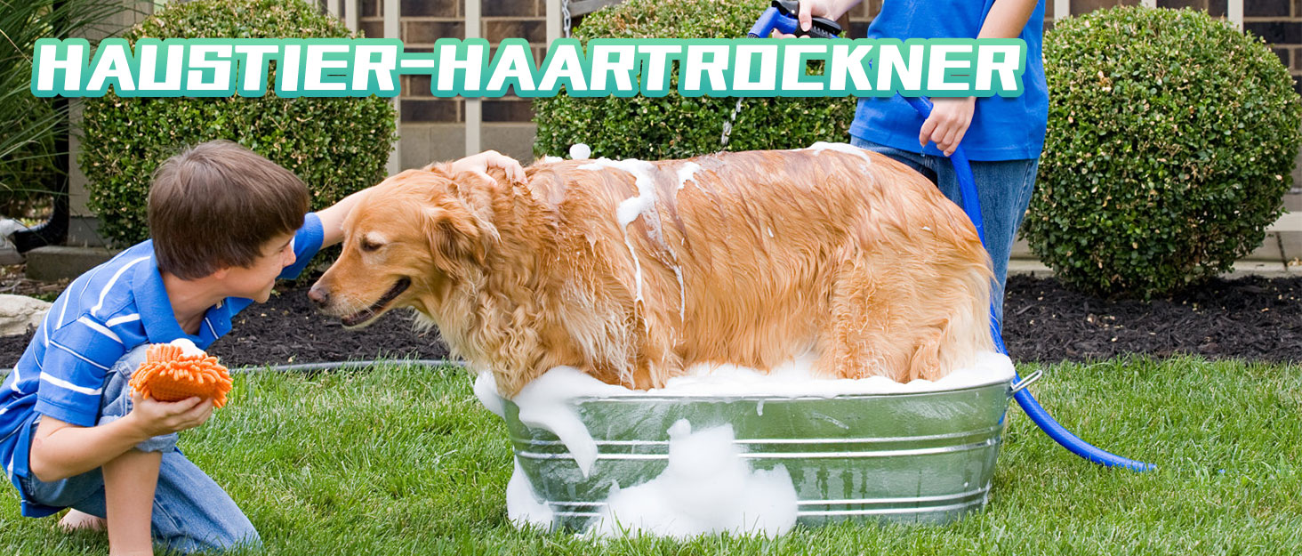 Набір для догляду за шерстю собак 3-в-1 Mxmoonant: пилосос, сушарка, триммер. Регулювання потужності та температури, 7 насадок, сумка для зберігання та рушник