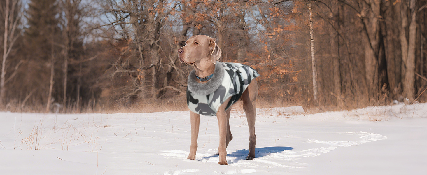 Водонепроникна куртка для собак XL, зимовий одяг для великих собак, флісова жилетка для собак (Камуфляж, XL)