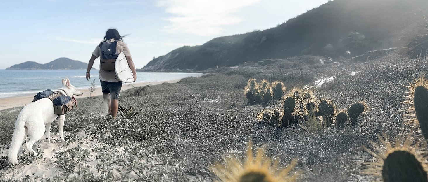 Водонепроникна куртка для собак Baja Coastline з капюшоном, легка та регульована, великі породи, розмір 65 (XL)