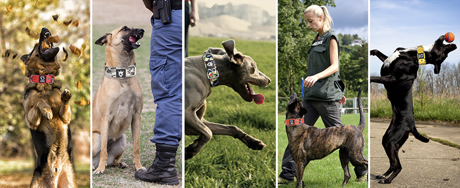 Тактичне обгортання для собак TSPRO, міцне обгортання з металевою застібкою, 3,8 см, регульоване та товсте для собак середніх та великих порід (зелене M), розмір M-H (регульоване 40-48 см), зелене