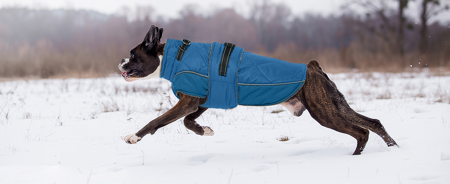 Водонепроникний зимовий одяг для собак великих порід (Німецька дога) з високим коміром, 3XL, зелений
