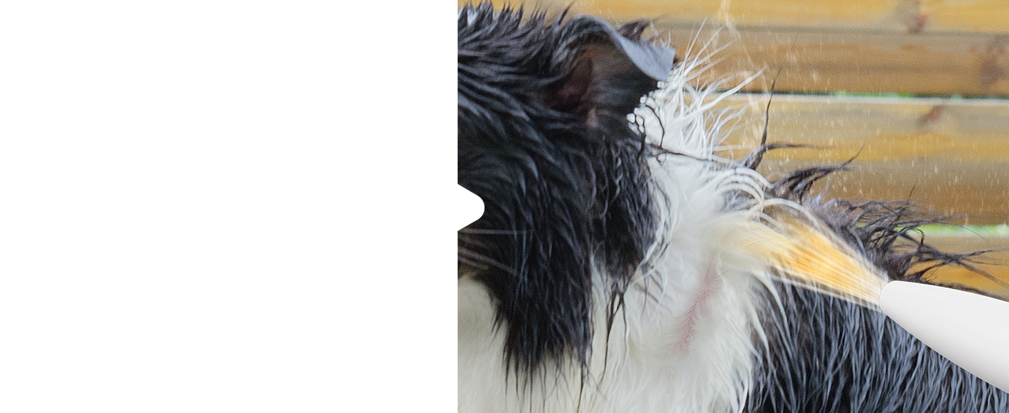 Машина для стрижки собак Oneisall з пилососом та сушаркою, 2.5L контейнер для сміття, 7 рівнів температури сушіння, тиха машинка для стрижки собак та котів, потужність всмоктування 15000Pa, професійний набір для догляду за тваринами з 8 інструментами