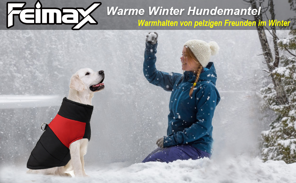 Зимовий теплий куртка для собак FeimaX, водонепроникний, для малих, середніх та великих собак, тепла підкладка, одяг для тварин, зелений, розмір M