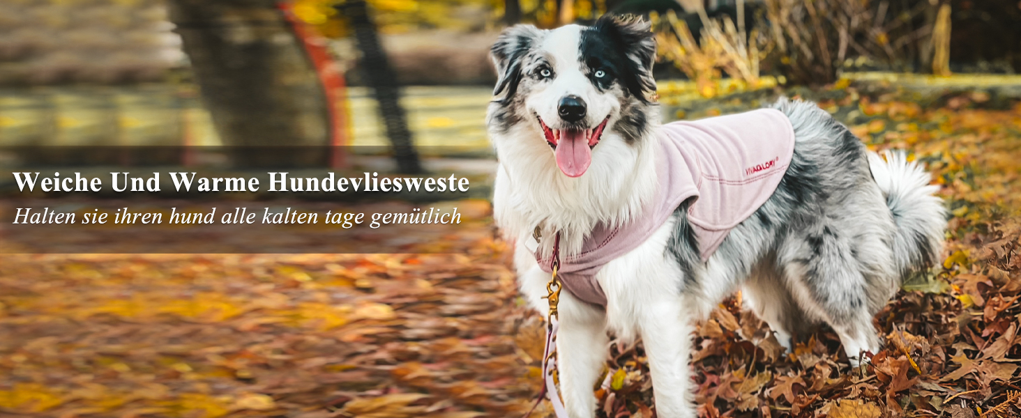 Теплий зимовий пуховик VIVAGLORY для собак, флісова куртка з захистом живота та клямками, світловідбиваючий, регульований, рожевий, S (обхват грудей 45-54 см, шиї ~30 см)