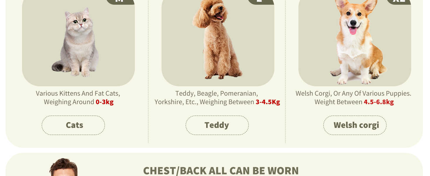 Рюкзак для тварин PETCUTE: переноска для собак та котів, блакитний, розмір L (38 x 20 x 42 см), схвалено авіакомпаніями