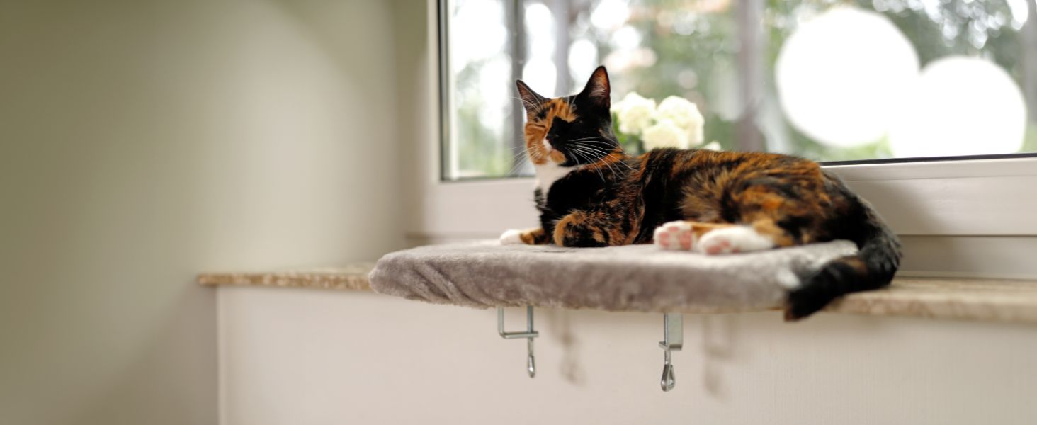 Кішка лежанка для вікна Lionto, м'яка, плюшева, 35x50 см, сіра, до 15 кг