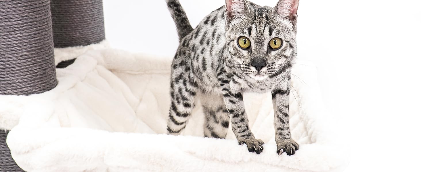 Драбина для котів Petrebels Maine Coon XXL, 210 см, з сизалю, бежева