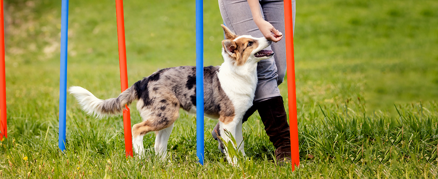 Набір для дресирування собак Agility Set: 12 шлагбаумів червоно-синіх, сумка для перенесення