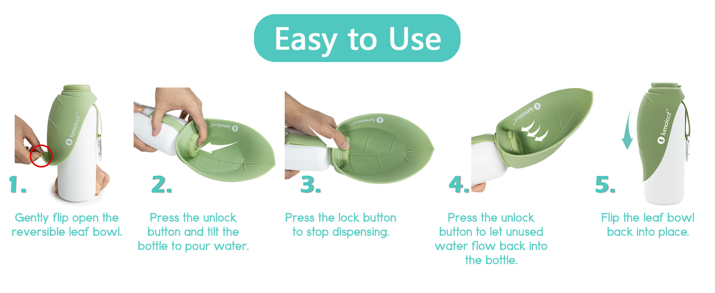 LumoLeaf Ізольована термофляга для собак, 800 мл - Зберігає воду холодною або теплою годинами, міцна та портативна для подорожей, широке горлечко для зручного наповнення та миття (Зелена, 800 мл)
