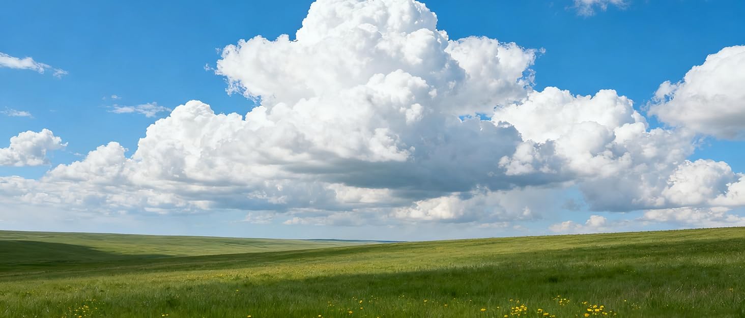 Сумка-переноска для собак Quppa: зручна та безпечна, зелена