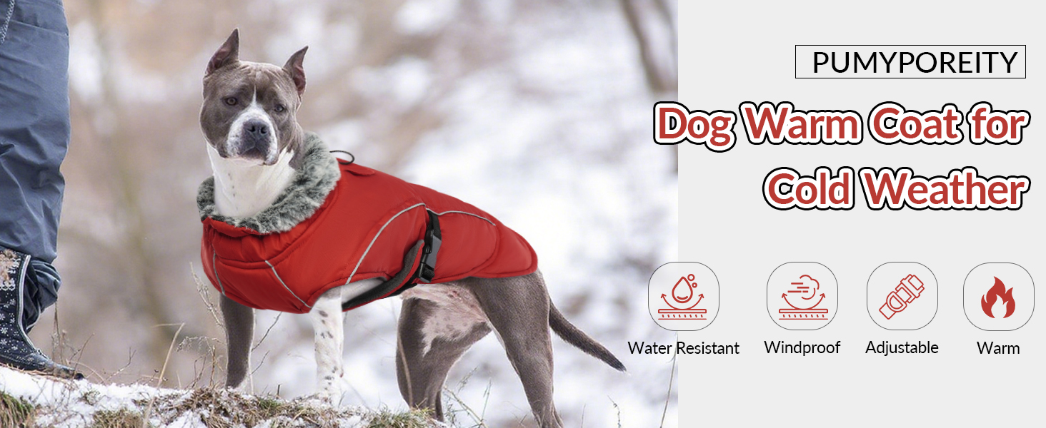 Водонепроникний зимовий теплий одяг для собак - куртка, жилет для чихуахуа, французького бульдога (Червоний, S)