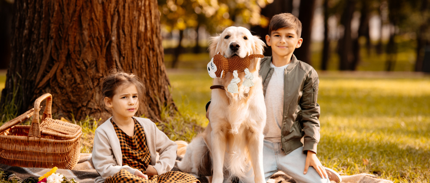 Інтерактивна іграшка для котів: сенсорна, з прихованою пір'ям, зі звуком миші. Ідеальна для дорослих котів.