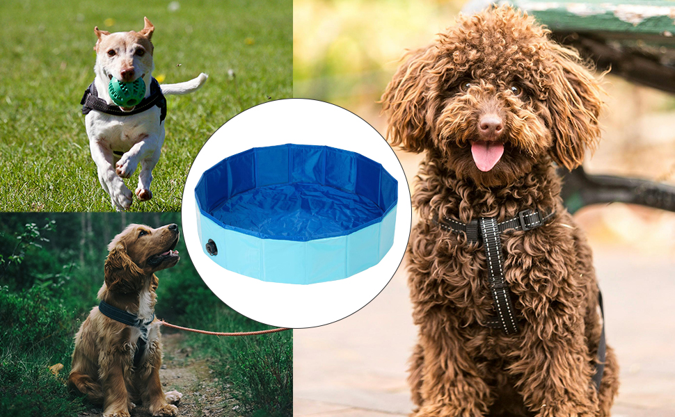 Басейн для собак та котів Demigreat, 100 x 30 см з клапаном зливу, портативний, зносостійкий