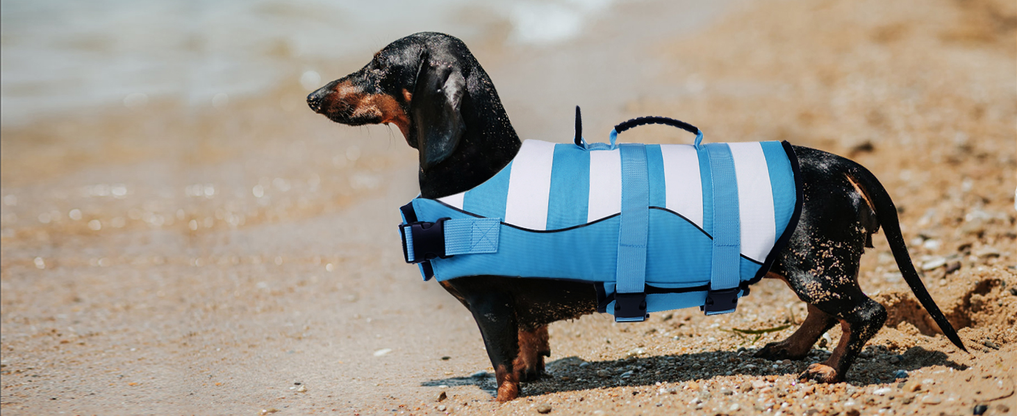 Спасальний жилет для собак, блакитний, розмір S, для джек-рассел, чихуахуа, французький бульдог, лабрадор - ASENKU