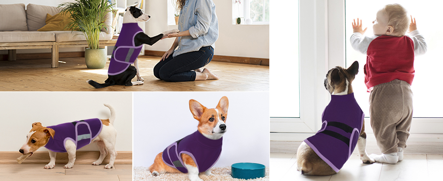 Жилет-заспокійник для собак IECOii, фіолетовий, S (обхват грудей 41-51 см), з відбиваючими смугами