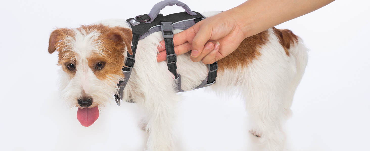 Шлейка Huntboo для собак - запобігання вириванню, шлейка від паніки, світловідбиваюча шлейка з ручкою, регульована шлейка для собак маленьких, середніх та великих порід (Чорний, S)