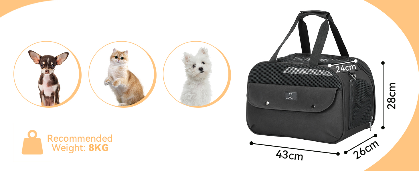 Транспортний бокс для котів та собак 4 PET - для кабіни літака/автомобіля, легкий, з безпечними пряжками та сіткою, чорний