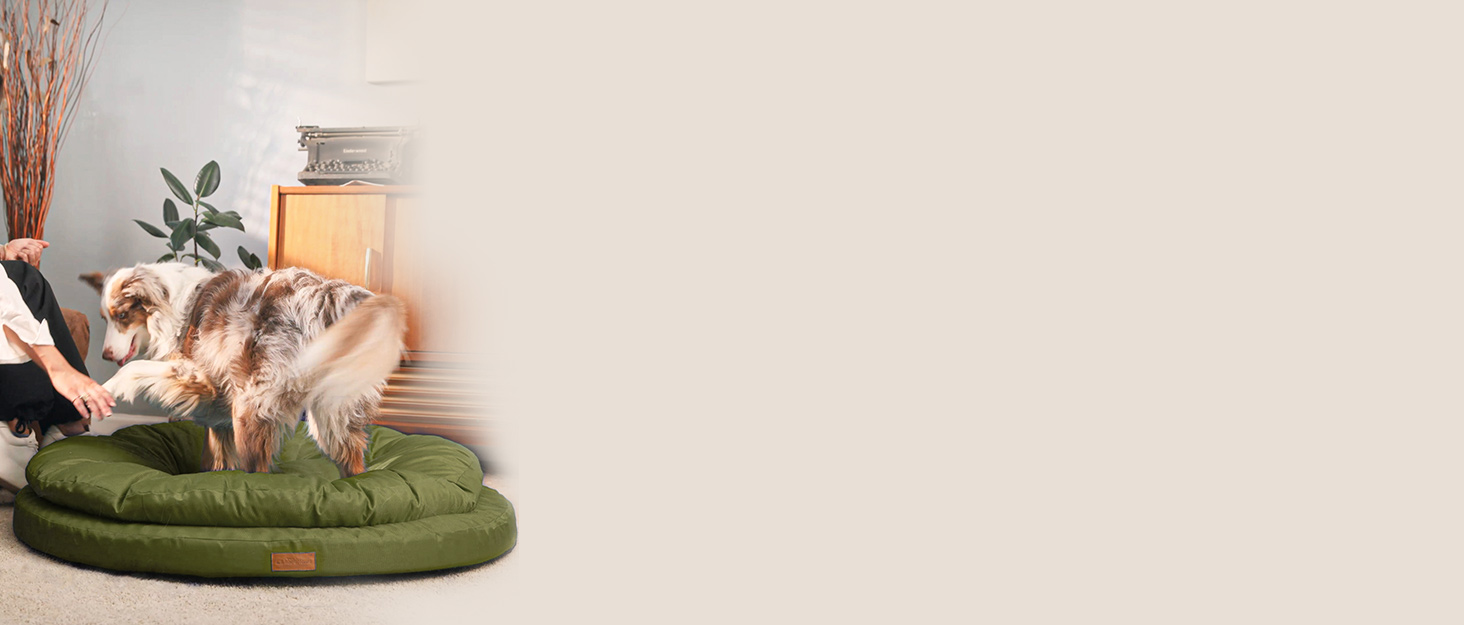 ClevaHome Ортопедичне собаче ліжко/софа для маленьких собак та котів – водовідштовхувальний та пральний чохол, неслизьке дно, комфортне ліжко з піною типу 