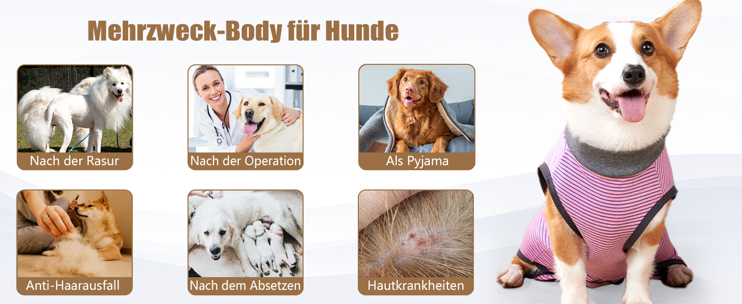 Захисний костюм для собак після кастрації Heywean, рожевий, XL. Медичний одяг для собак після операції, рожевий, XL