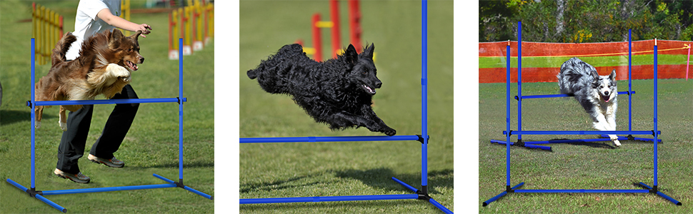 Набір для аджиліті для собак ORHEYA: 4 переносні бар'єри, регульована висота, 104x70x101 см, білий (блакитний)